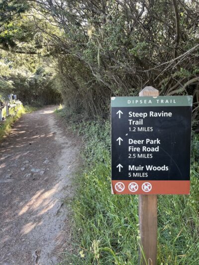 Dipsea Trail Head - Stinson Beach, CA