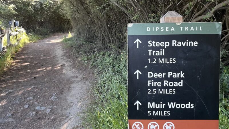 Dipsea Trail Head - Stinson Beach, CA