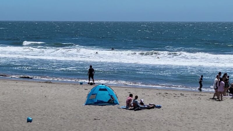 Upton Beach - Stinson Beach, CA