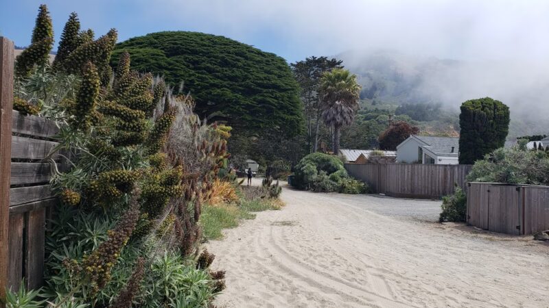 Upton Beach - Stinson Beach, CA