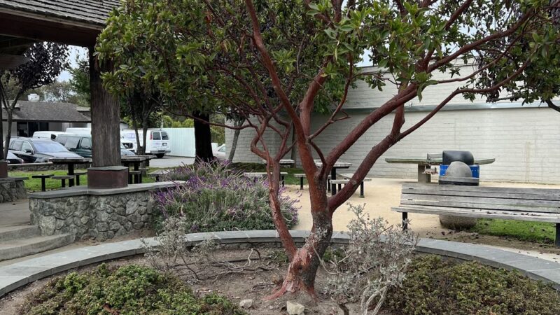 Village Green Park - Stinson Beach, CA