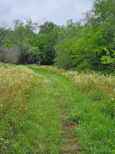 Jackson Nature Park - Stockdale, TX