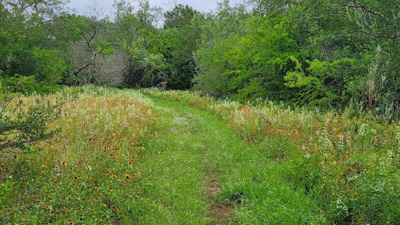 Jackson Nature Park - Stockdale, TX