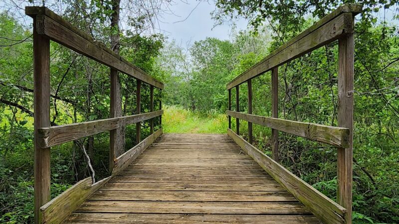 Jackson Nature Park - Stockdale, TX
