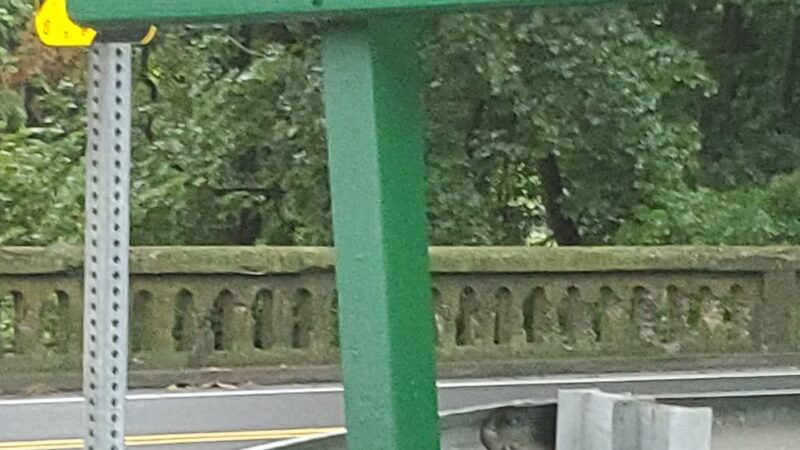 Newhart Park - Stockertown, PA