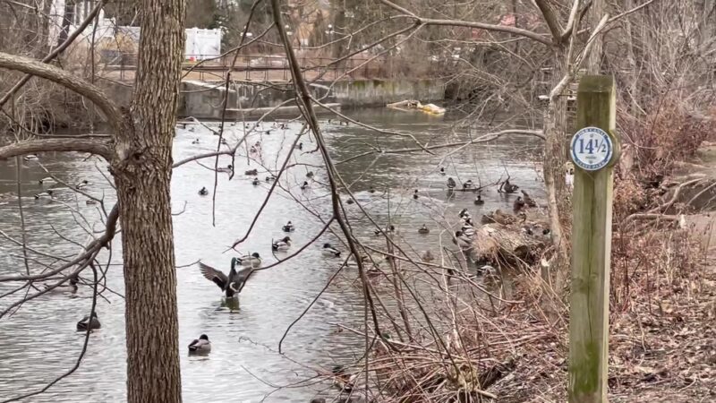 D&R Canal Trail Stockton - Lambertville - Stockton, NJ