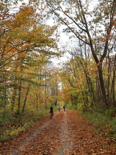 D&R Canal Trail Stockton - Lambertville - Stockton, NJ