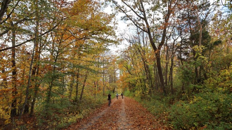 D&R Canal Trail Stockton - Lambertville - Stockton, NJ