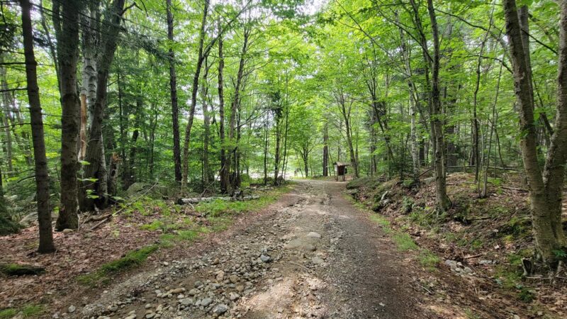 Pitcher Mountain Trailhead - Stoddard, NH