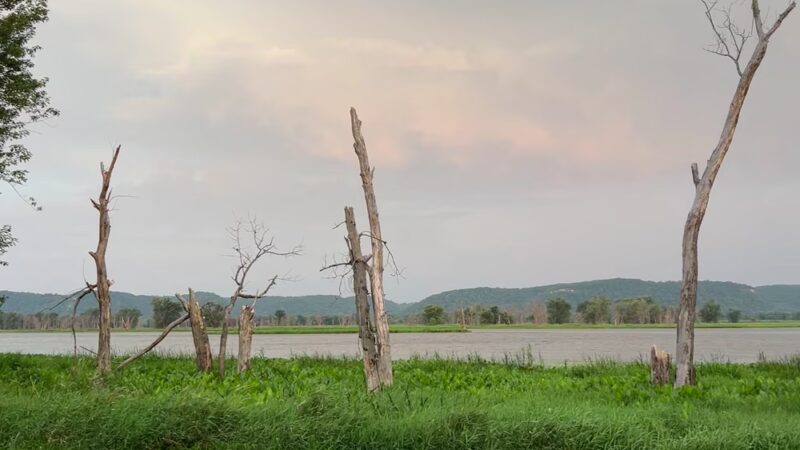 Goose Island Campground - Stoddard, WI
