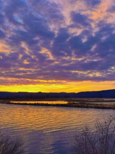 Goose Island Campground - Stoddard, WI