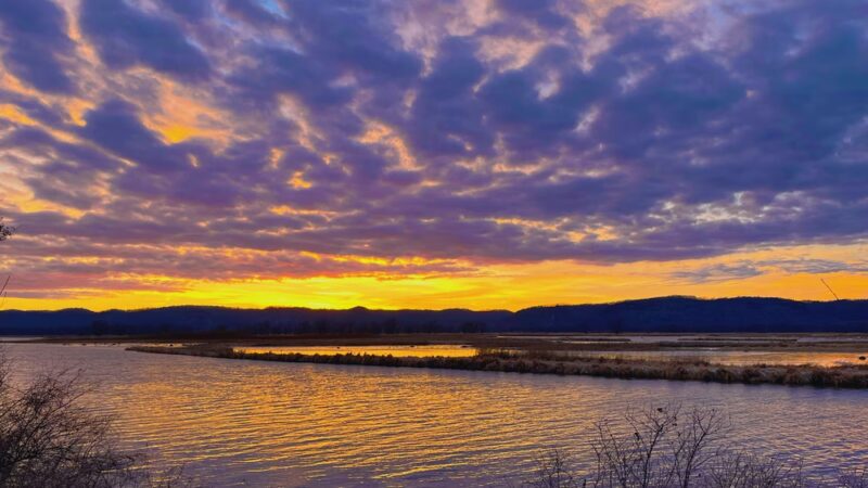 Goose Island Campground - Stoddard, WI