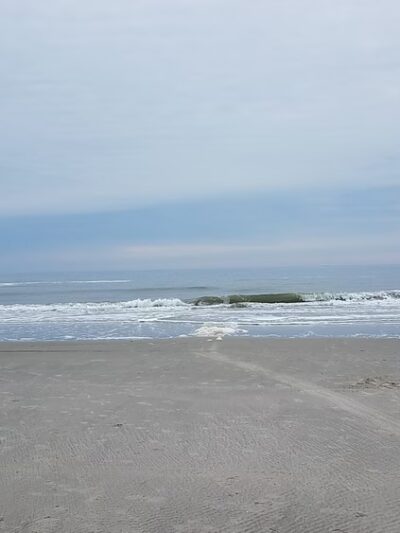 Stone Harbor Point - Stone Harbor, NJ