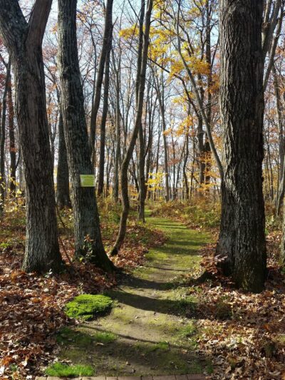 Stone Lake Wetland Park - Stone Lake, WI