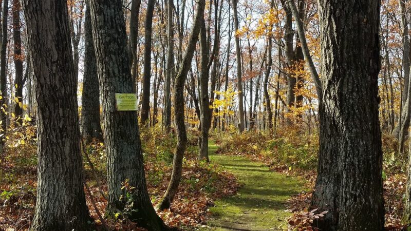 Stone Lake Wetland Park - Stone Lake, WI