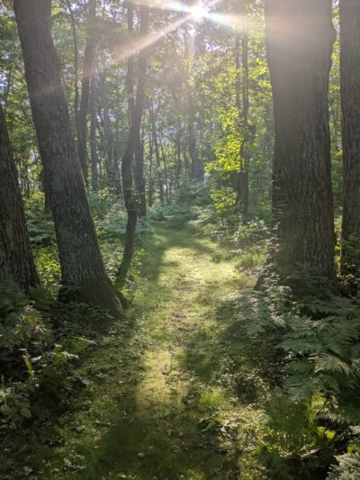 Stone Lake Wetland Park - Stone Lake, WI