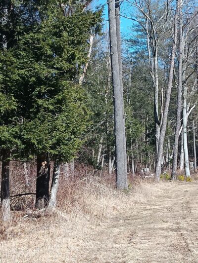 Marbletown Meadows - Stone Ridge, NY