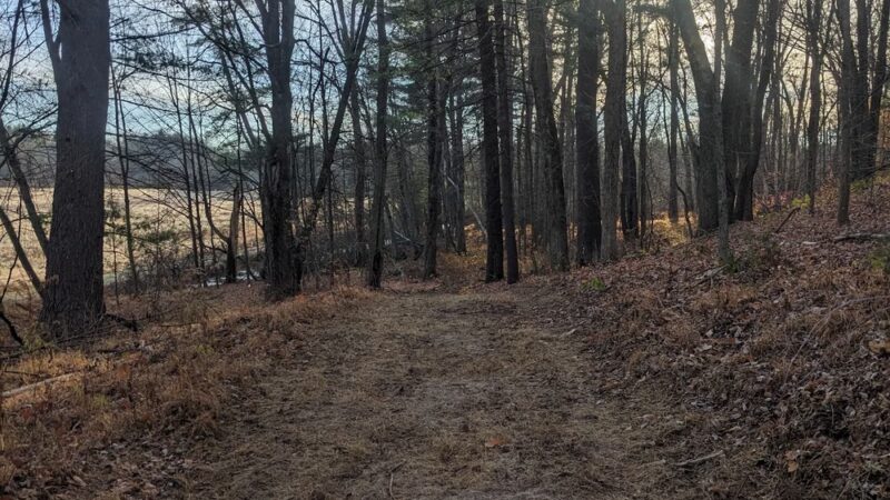 Marbletown Meadows - Stone Ridge, NY