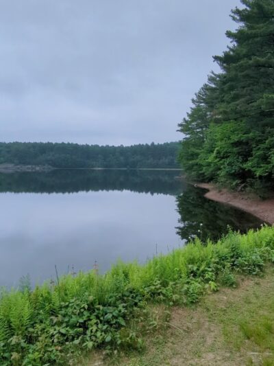 Rock Point - Stoneham, MA