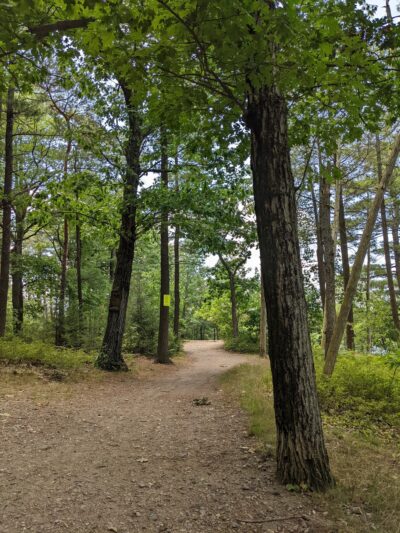 Rock Point - Stoneham, MA