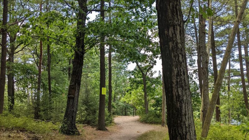 Rock Point - Stoneham, MA