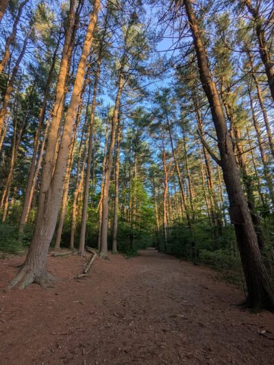 Rock Point - Stoneham, MA
