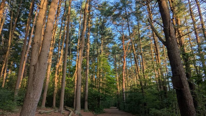 Rock Point - Stoneham, MA