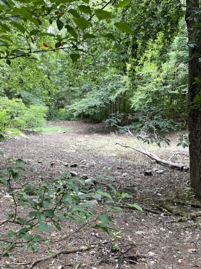 Whip Hill Park - Stoneham, MA