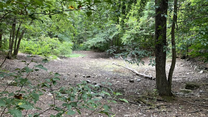 Whip Hill Park - Stoneham, MA