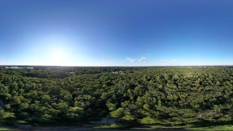 Whip Hill Park - Stoneham, MA