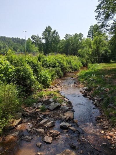 Stoneville Memorial Park - Stoneville, NC