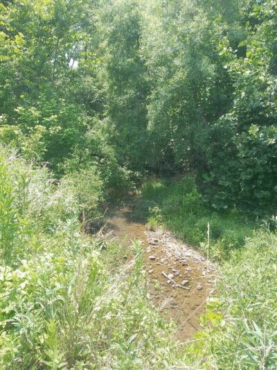 Stoneville Memorial Park - Stoneville, NC