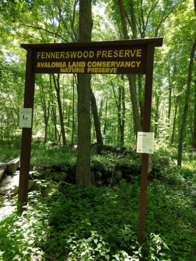 Fennerswood West Tract - Stonington, CT