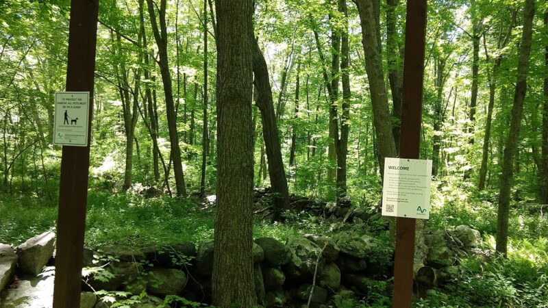 Fennerswood West Tract - Stonington, CT