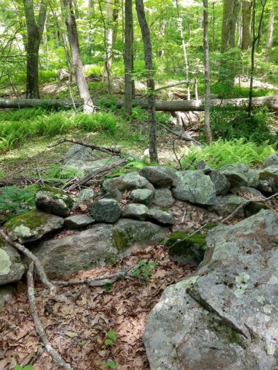 Fennerswood West Tract - Stonington, CT