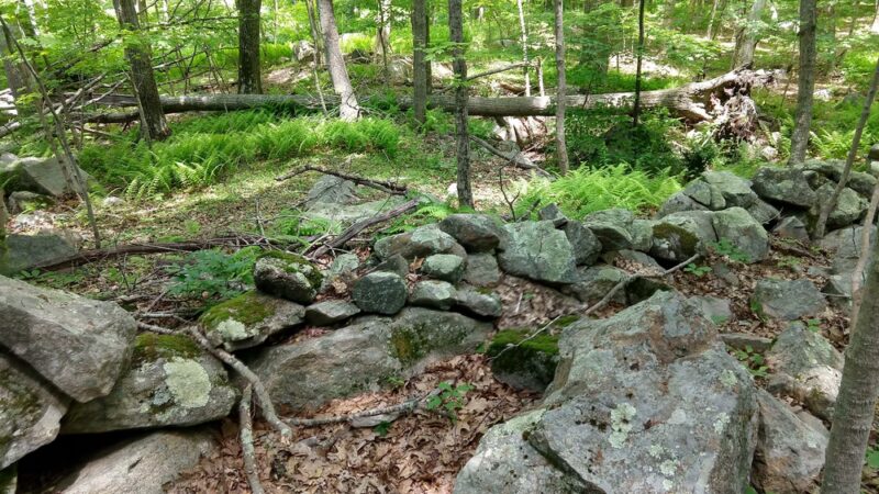 Fennerswood West Tract - Stonington, CT