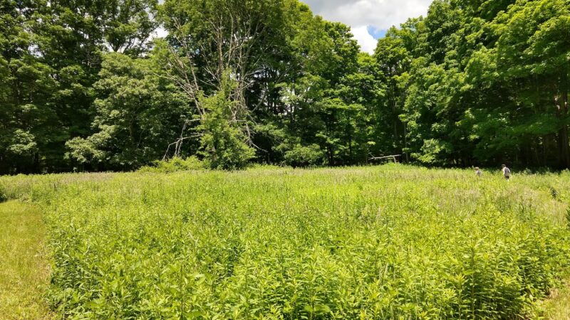 Fennerswood West Tract - Stonington, CT