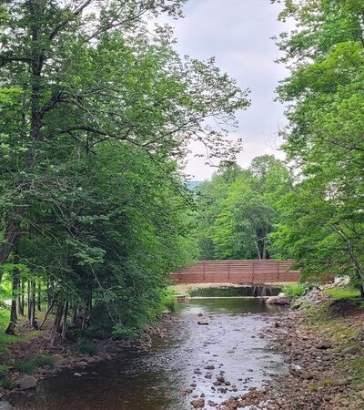 Stony Creek Town Park - Stony Creek, NY