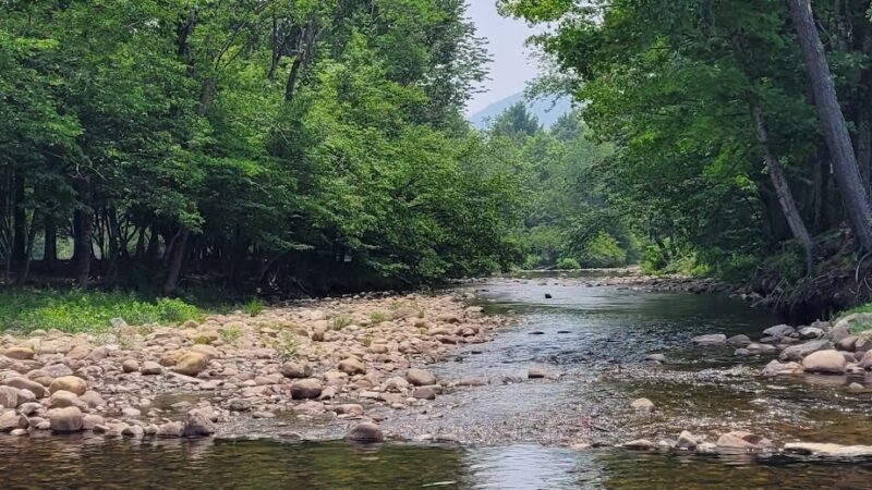 Stony Creek Town Park - Stony Creek, NY