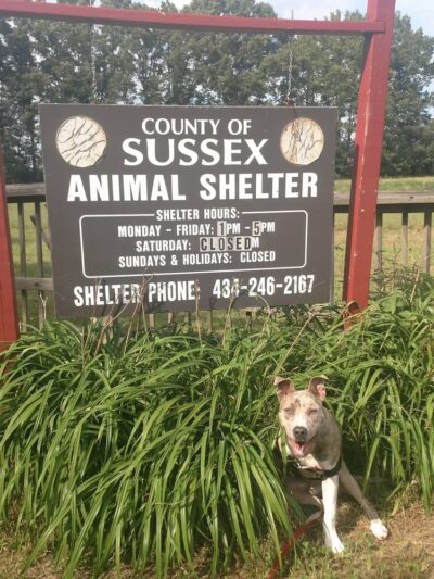 Sussex County Animal Services - Stony Creek, VA