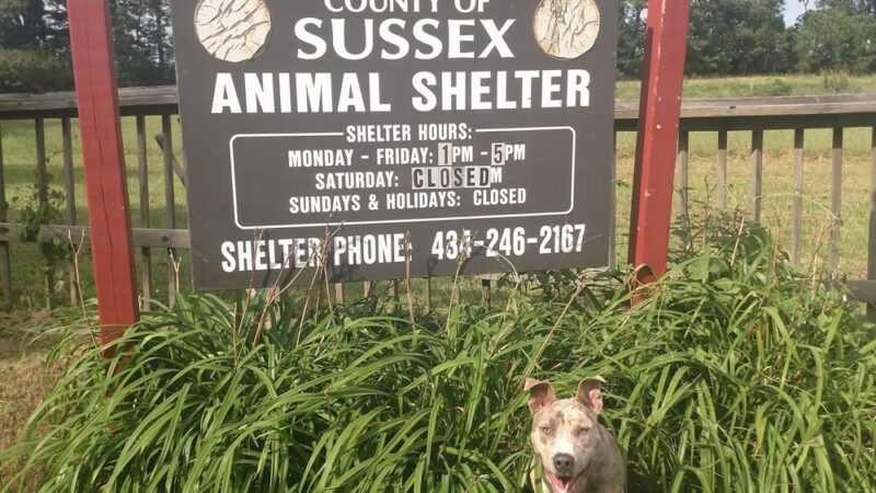 Sussex County Animal Services - Stony Creek, VA