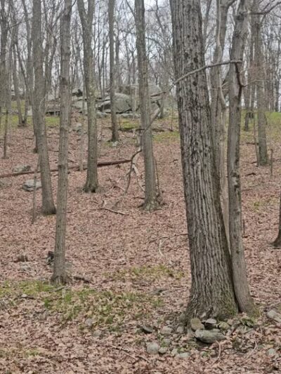 Big Hill & Jackie Jones Mountain Trail - Stony Point, NY