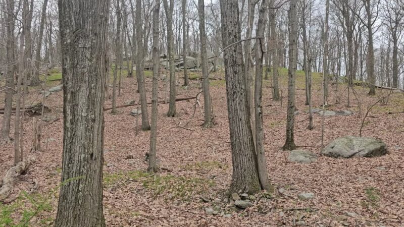 Big Hill & Jackie Jones Mountain Trail - Stony Point, NY
