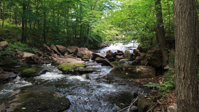Big Hill & Jackie Jones Mountain Trail - Stony Point, NY
