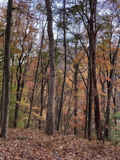 Big Hill & Jackie Jones Mountain Trail - Stony Point, NY