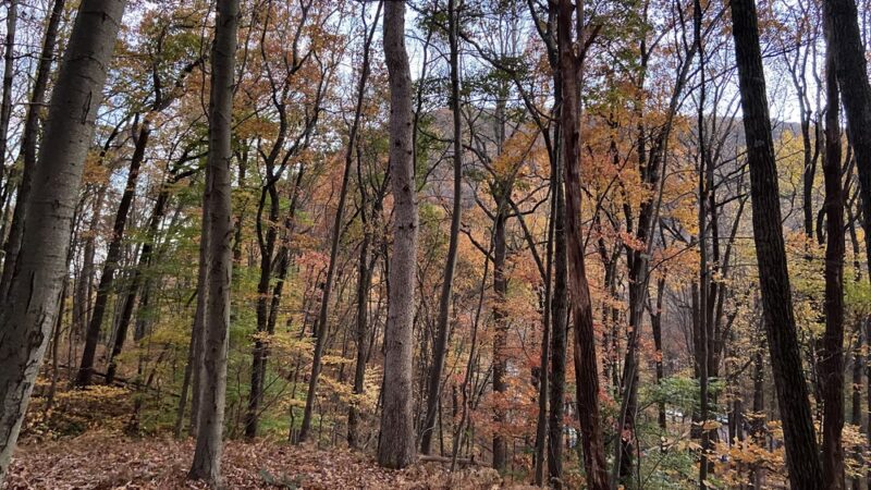 Big Hill & Jackie Jones Mountain Trail - Stony Point, NY