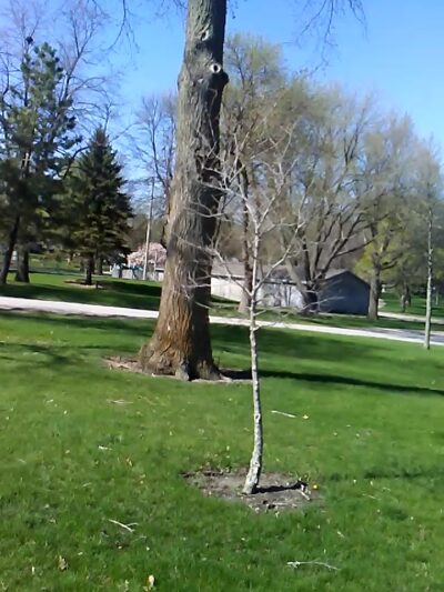 Chautauqua Park - Storm Lake, IA