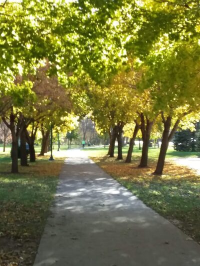 Frank Starr Park - Storm Lake, IA