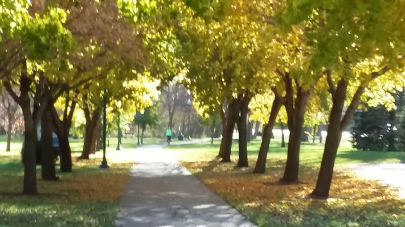 Frank Starr Park - Storm Lake, IA