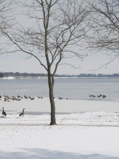 Storm Lake Parks & Recreation - Storm Lake, IA